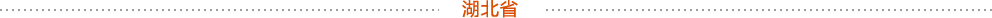 ʡ