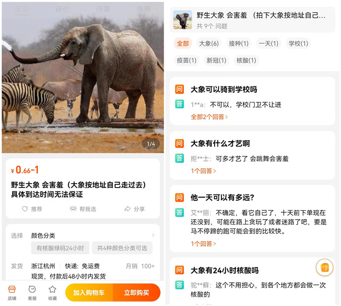 貴點的假發(fā) \